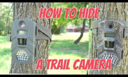 How to hide a trail camera on public land