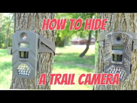 How to hide a trail camera on public land