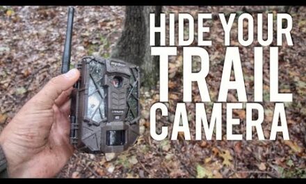 How to Hide Your Trail Camera From Trespassers/Poachers  S8  #36