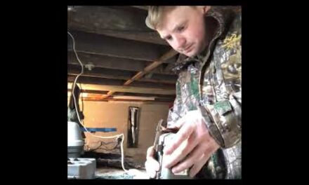 How to hide your trail cameras from thieves