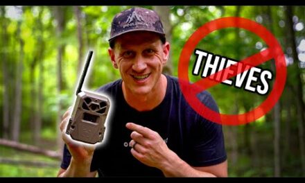 How to Keep Your Trail Cameras From Being Stolen!