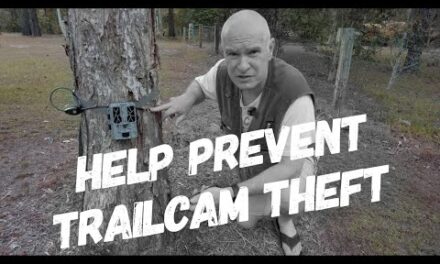 How to Prevent Trailcam Theft. Easy Tip.