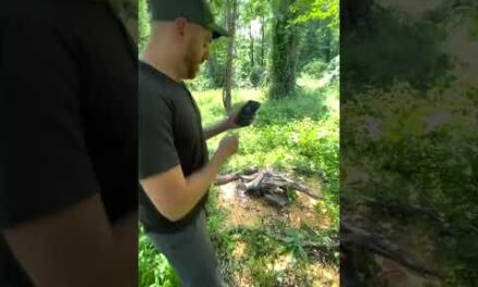How To Save Battery Life on Your Trail Cams
