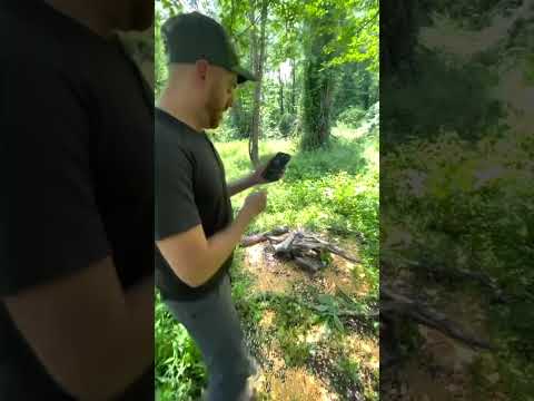 How To Save Battery Life on Your Trail Cams