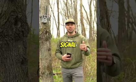How Weather Affects Your Cellular Signal for Trail Cameras
