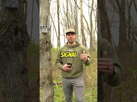 How Weather Affects Your Cellular Signal for Trail Cameras