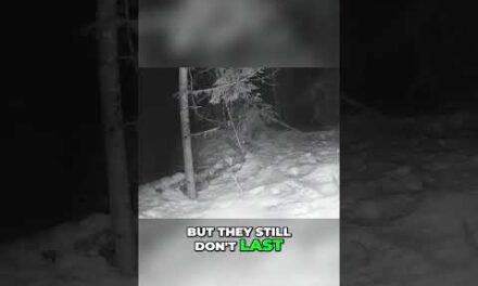 Improve Your Winter Photography: Extending Battery Life in Cold Weather