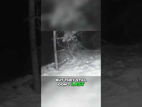 Improve Your Winter Photography: Extending Battery Life in Cold Weather