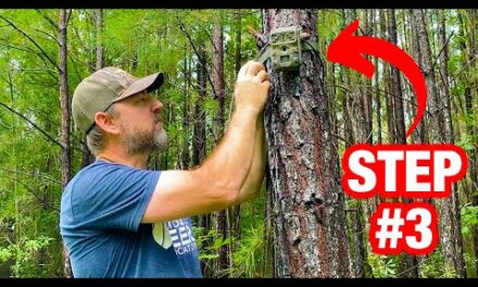 Keeping Your Trail-Cams Safe on Public Land