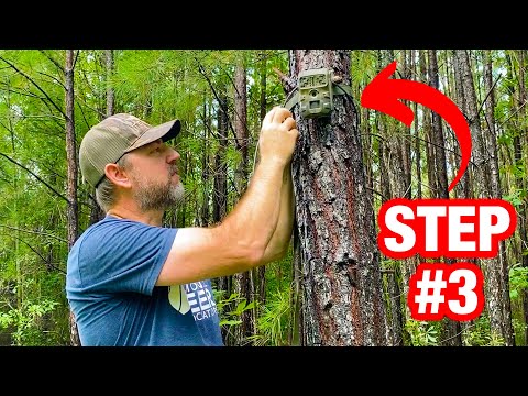 Keeping Your Trail-Cams Safe on Public Land