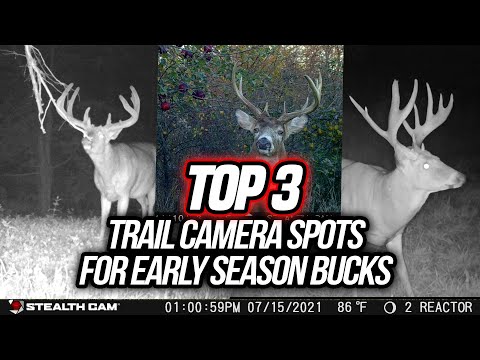 Move Your Trail Cameras NOW! (Best Spots for Early Season Bucks)
