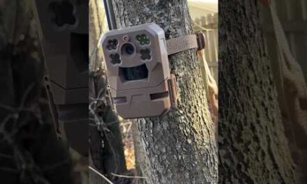 My 2 Cents In 60 Seconds. The Moultrie Edge Cellular Trail Cam. @Moultrie.Products