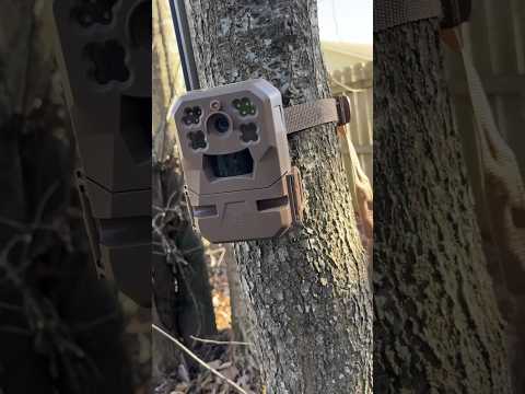 My 2 Cents In 60 Seconds. The Moultrie Edge Cellular Trail Cam. @Moultrie.Products