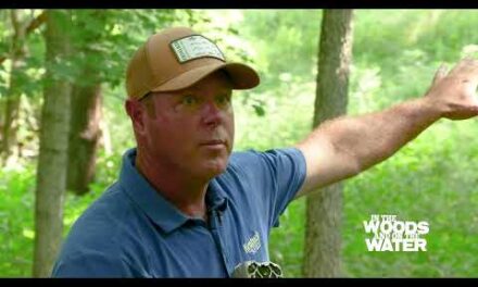 Picking the Right Location for a Trail Camera – 2022 Deer Season Prep
