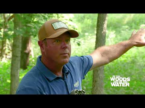 Picking the Right Location for a Trail Camera – 2022 Deer Season Prep