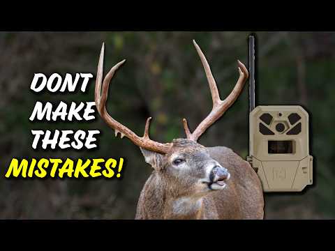 Place your trail cams like this to locate bucks!