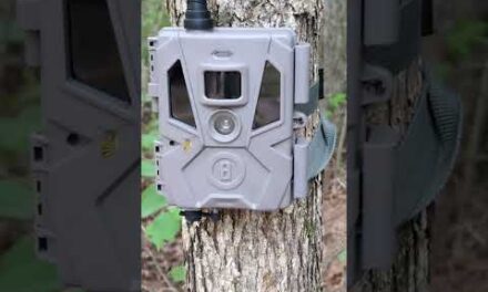 problem with Bushnell trail cameras