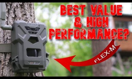 Spypoint FLEX-M Cellular Trail Camera: Best Value $79.99 Dual-Sim 28MP GPS Field Test Review