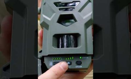 Spypoint Flex M Setup – Full Review Linked #shorts #spypoint #trailcamera