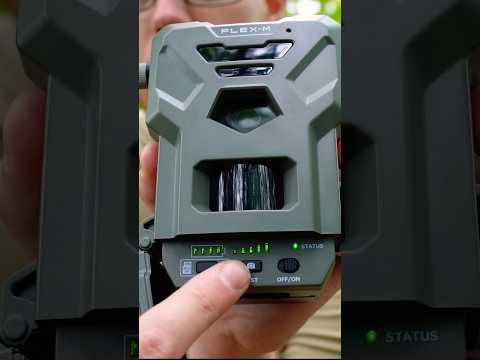 Spypoint Flex M Setup – Full Review Linked #shorts #spypoint #trailcamera