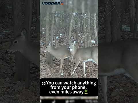 The best Cellular trail camera of 2025-Get closer in the wild anytime anywhere！#Voopeak #trailcamera