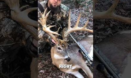 The stupidest hunter in the state | The Hollywood Buck