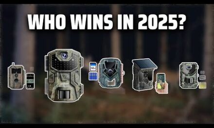 The Top 5 Best Trail Cameras in 2025 – Must Watch Before Buying!