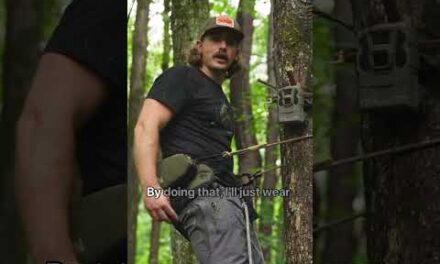 Tips for saving your trail cameras from getting stolen and bears