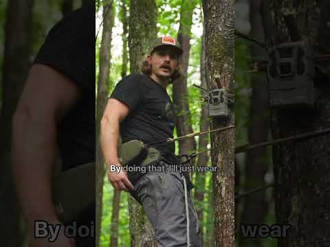 Tips for saving your trail cameras from getting stolen and bears