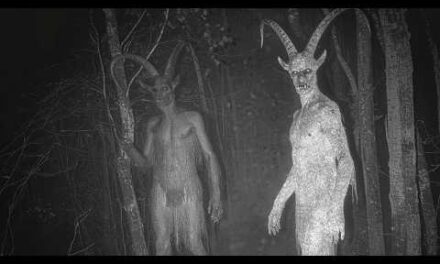 Top 10 Cryptids Caught Clearly on Camera in 2025