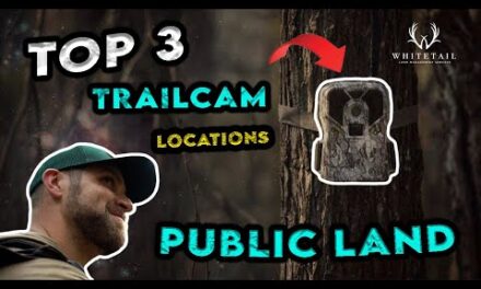 Top 3 Places to Hang Trail Cameras on PUBLIC LAND!!!
