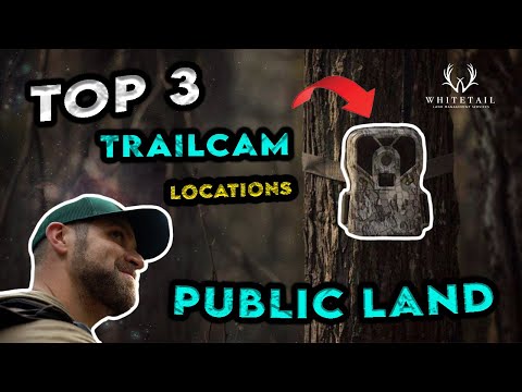 Top 3 Places to Hang Trail Cameras on PUBLIC LAND!!!