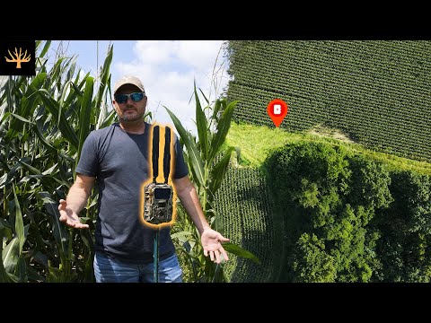 Trail Cam Set Up For Pre-Season Buck Inventory