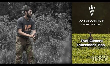 Trail Camera Placement Tips | Midwest Whitetail