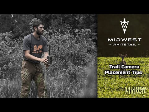 Trail Camera Placement Tips | Midwest Whitetail