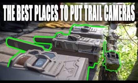 TRAIL CAMERA SECRETS (MY FAVORITE PLACES TO PUT CAMERAS!)