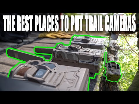 TRAIL CAMERA SECRETS (MY FAVORITE PLACES TO PUT CAMERAS!)