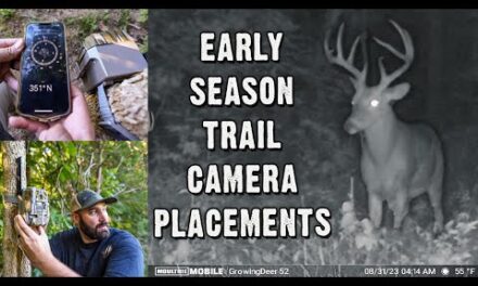 Trail Camera Tips – Maximize Your Trail Camera for Deer Season 2023