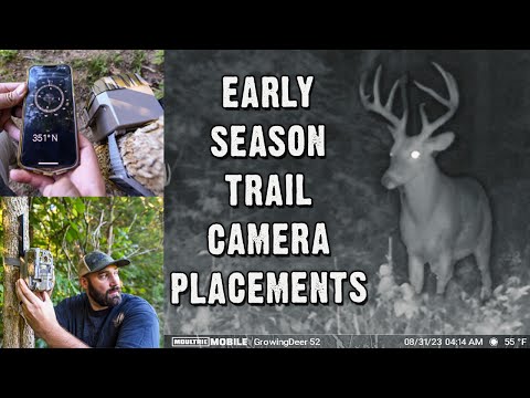 Trail Camera Tips – Maximize Your Trail Camera for Deer Season 2023
