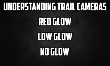 Trail Camera Types:  No Glow vs. Low Glow vs. Red Glow