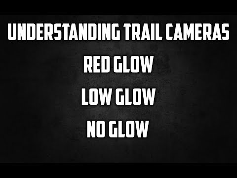 Trail Camera Types:  No Glow vs. Low Glow vs. Red Glow