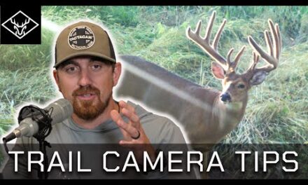 Trail Cameras 101 | Placement – Strategies – Tips – Tactics…