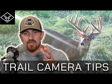 Trail Cameras 101 | Placement – Strategies – Tips – Tactics…