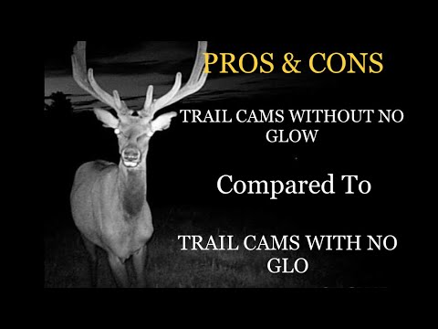 Trail cameras  pros & cons without no glow compared to trail cams with no glow