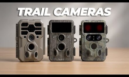 What are the BEST Trail Cameras of 2025?