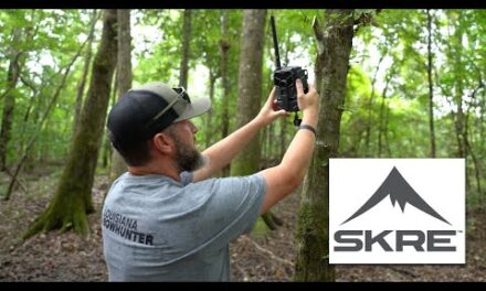 Whitetail Hunting Strategies:  Trail Cam Tips for Early Season Hunting