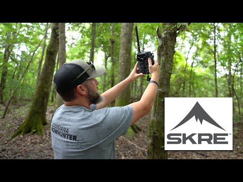 Whitetail Hunting Strategies:  Trail Cam Tips for Early Season Hunting