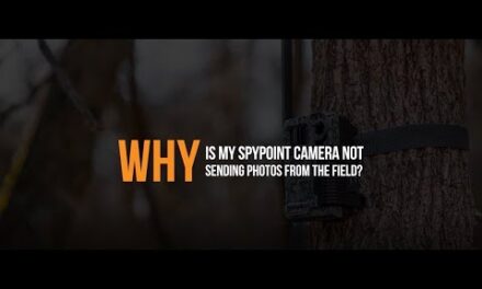 Why is my SPYPOINT Camera Not Sending Photos From the Field | SPYPOINT