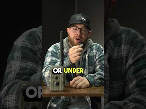 Why Your Cell Camera Won't Upload Photos