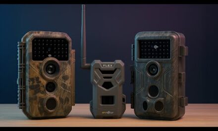 Wildlife Experts Reveal Best Trail Cameras of 2025